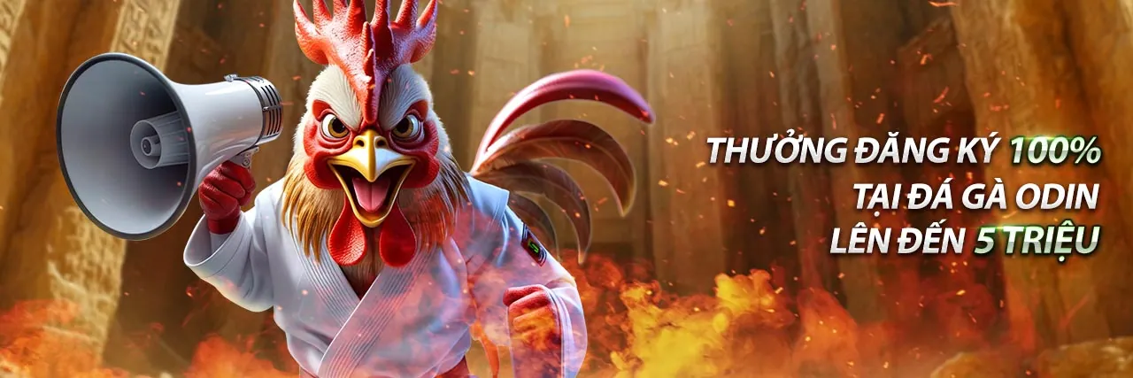 Cá cược có trách nhiệm với w88 213