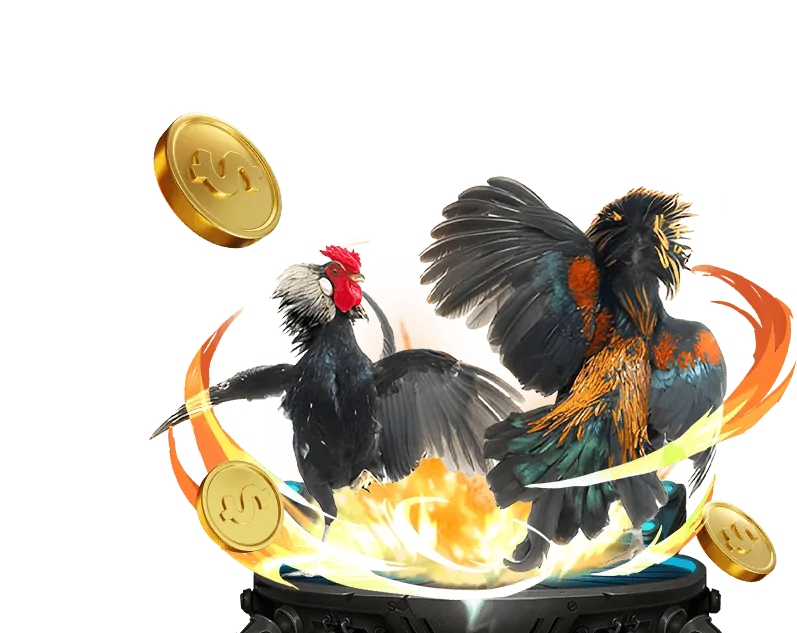 Tổng quan về đá gà trực tuyến w88 213