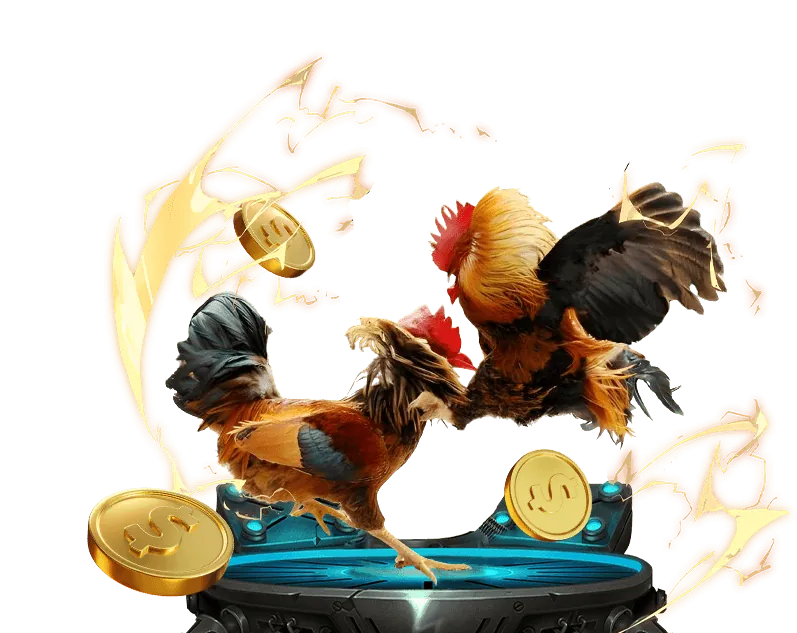 Luật chơi đá gà cơ bản trên w88 213